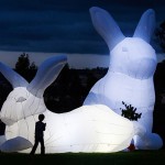 Dünyaca ünlü sanatçı ‘tavşan’larıyla İstanbul’da