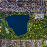 Central Park Dedikleri Ne Ola Ki?